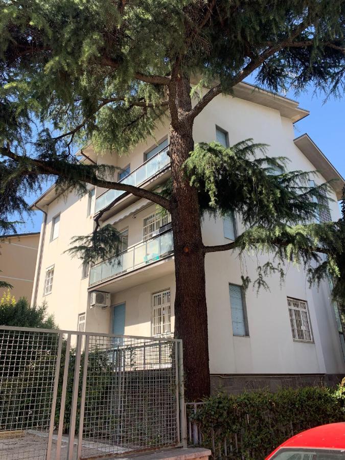 Ghisello Luxury Guesthouse 1 ボローニャ エクステリア 写真